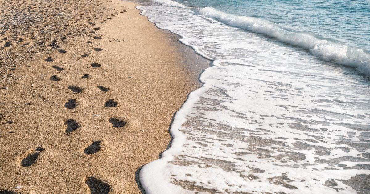 A line of footprints in wet sand beside the edge of the sea